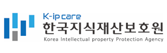 한국지식재산보호원